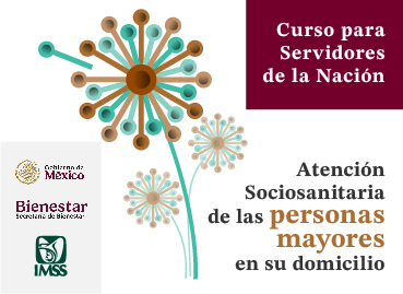 Atención Sociosanitaria de las personas mayores en su domicilio